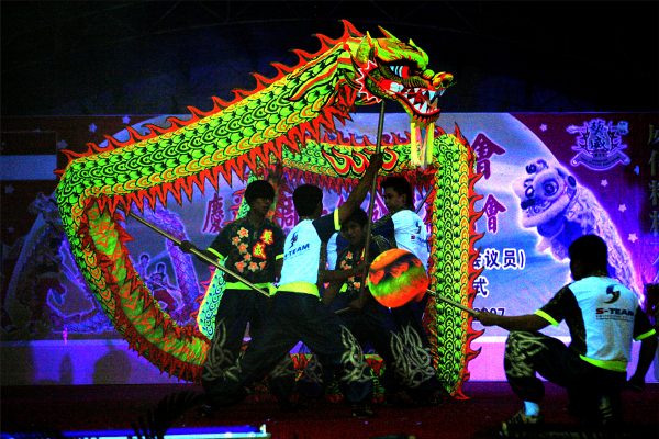 Luminous-Dragon-performance