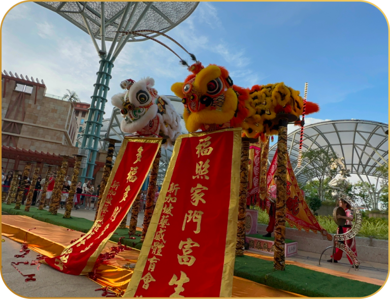 twin lion dance